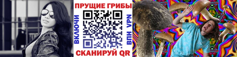 Галлюциногенные грибы Psilocybine cubensis  Лаишево 